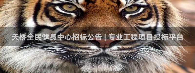 尊龙凯时贴吧：天桥全民健身中心招标公告 | 专业工程项目