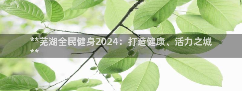 尊龙人生就是博旧：**芜湖全民健身2024：打造健康、活