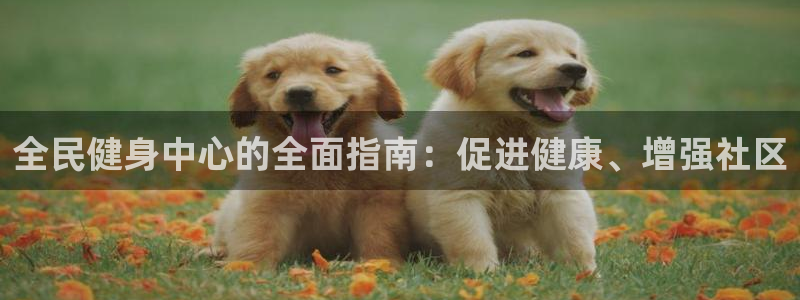 尊龙实业 吴友良：全民健身中心的全面指南：促进健康、增强