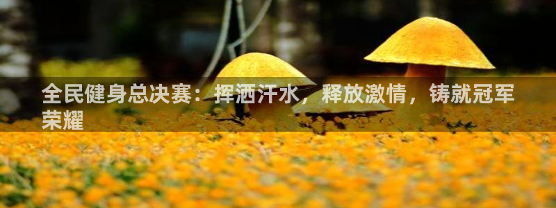 尊龙d88官网登录苹果版下载：全民健身总决赛：挥洒汗水，