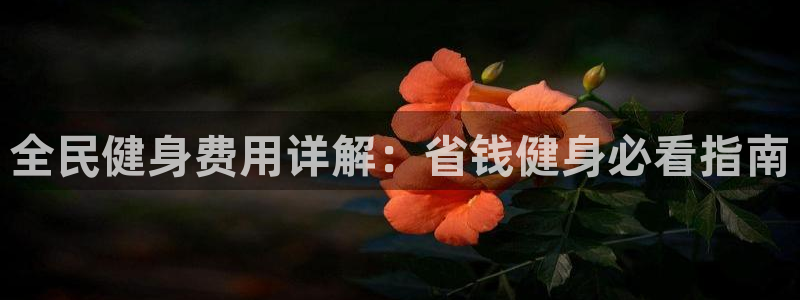 尊龙旗舰厅app：全民健身费用详解：省钱健身必看指南