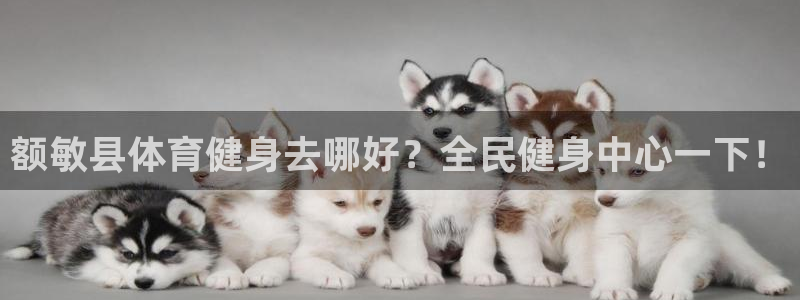 尊龙凯时有假么：额敏县体育健身去哪好？全民健身中心一下！