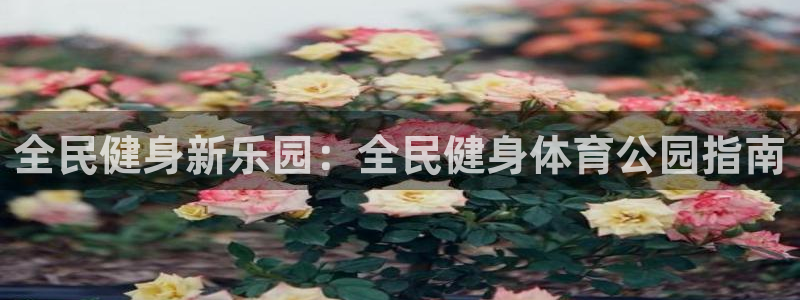 凯时国际官方版：全民健身新乐园：全民健身体育公园指南