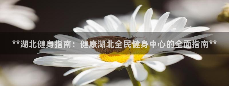 尊龙凯时合法吗?：**湖北健身指南：健康湖北全民健身中心