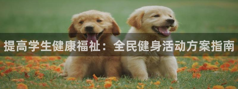 尊龙凯时不朽情缘：提高学生健康福祉：全民健身活动方案指南