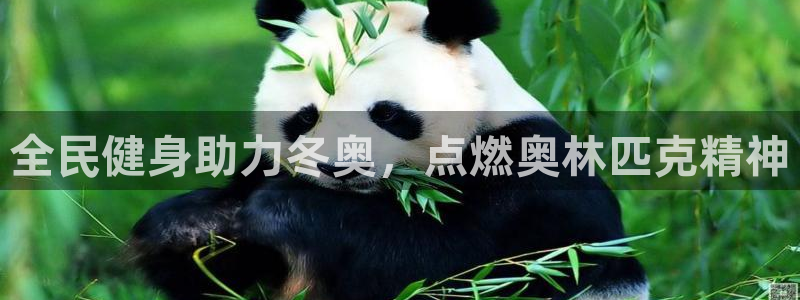 尊龙凯时 - 人生就是搏!提款怎么样：全民健身助力冬奥，