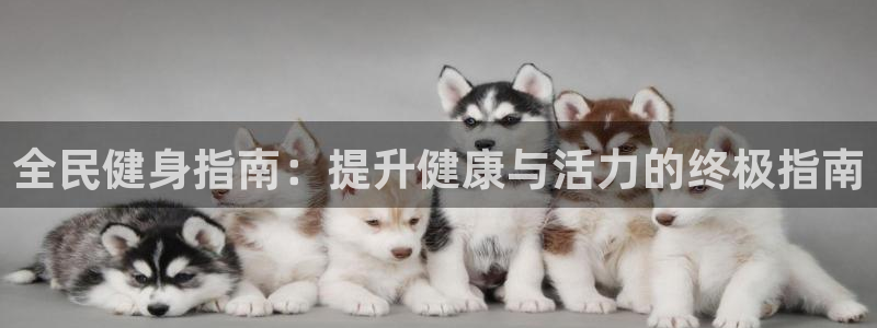 尊龙凯时取款一直支付中：全民健身指南：提升健康与活力的终