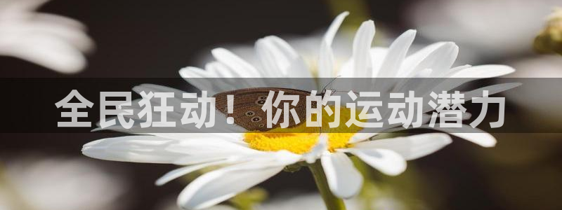 尊龙平台有谁玩过：全民狂动！你的运动潜力
