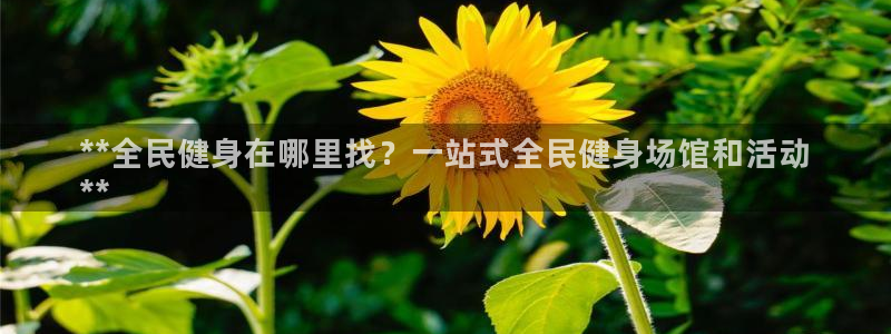 尊龙凯时 - 人生就是搏!提款怎么样：**全民健身在哪里