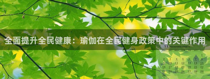 尊龙凯时app官方网站：全面提升全民健康：瑜伽在全民健身
