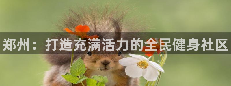 尊龙内地：郑州：打造充满活力的全民健身社区