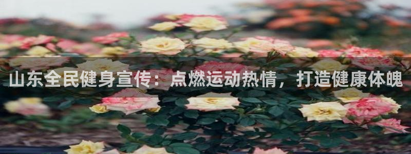 尊龙凯时网站登录：山东全民健身宣传：点燃运动热情，打造健
