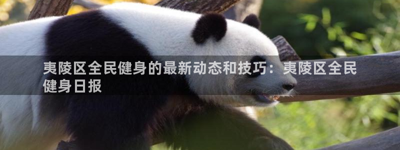 尊龙1003尊龙 - 百度：夷陵区全民健身的最新动态和技