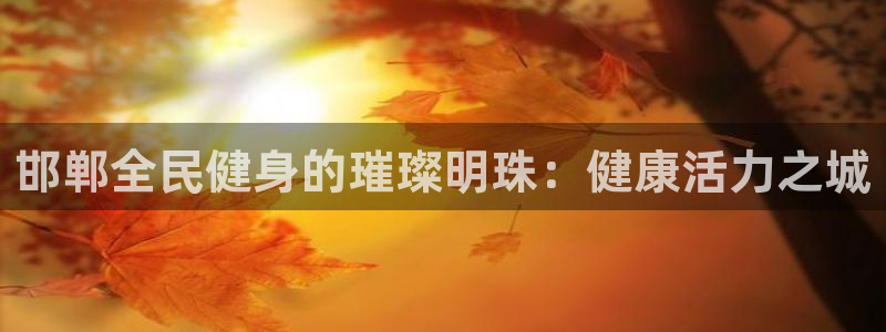 尊龙ag旗舰：邯郸全民健身的璀璨明珠：健康活力之城