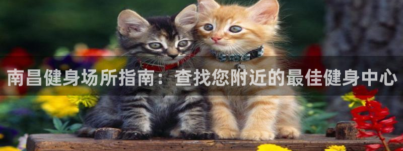 尊龙AG旗舰店：南昌健身场所指南：查找您附近的最佳健身中