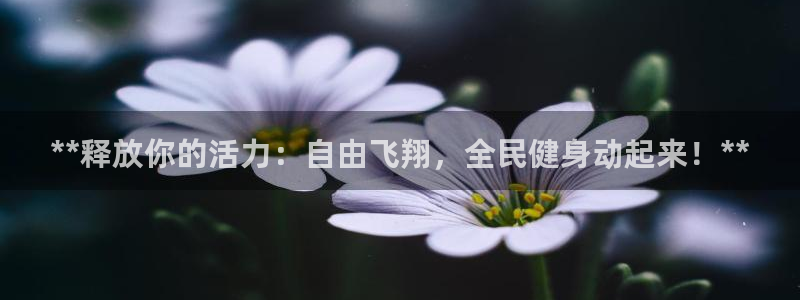尊龙人生就是一博!：**释放你的活力：自由飞翔，全民健身