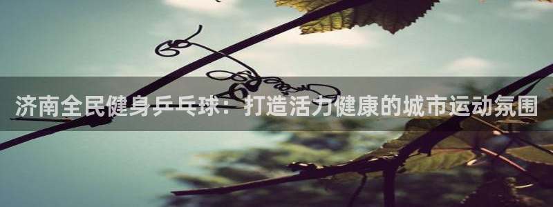 尊龙凯时开发：济南全民健身乒乓球：打造活力健康的城市运动
