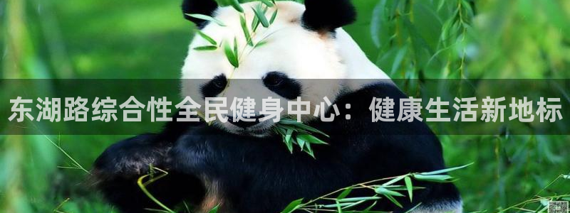 凯时网址多少：东湖路综合性全民健身中心：健康生活新地标