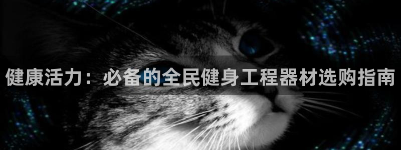 尊龙官网入口：健康活力：必备的全民健身工程器材选购指南