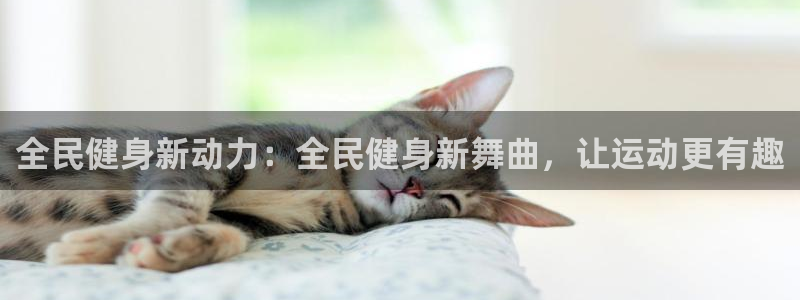 尊龙凯时人生就是搏客户：全民健身新动力：全民健身新舞曲，