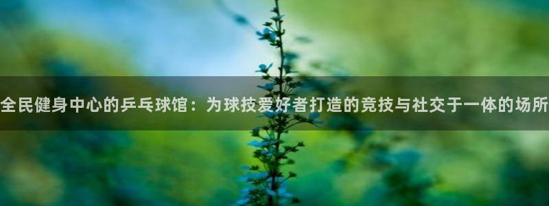 凯时国际最新
