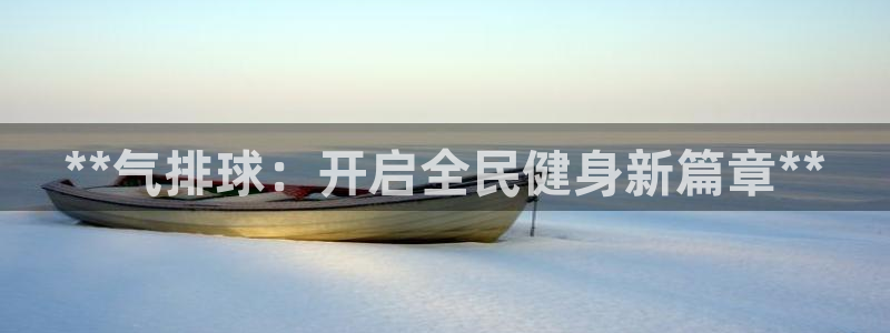 凯时a88：**气排球：开启全民健身新篇章**