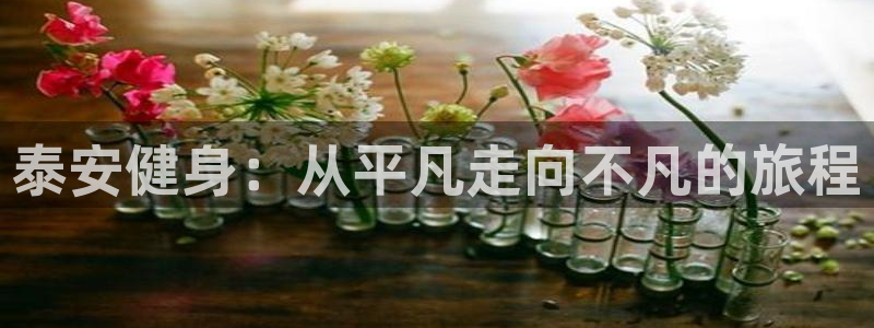 尊龙凯时app安装