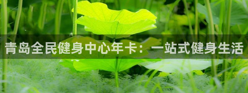 尊龙官网免费下载