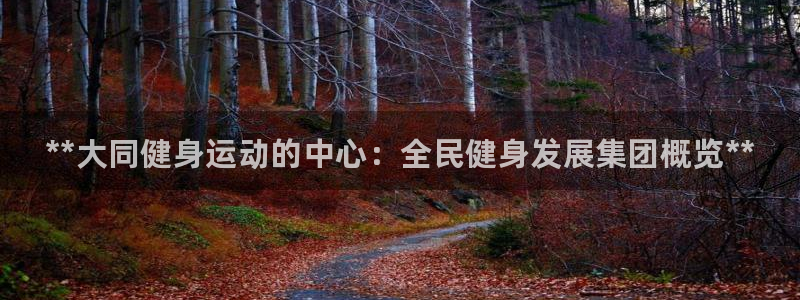 尊龙体育游戏平台：**大同健身运动的中心：全民健身发展集