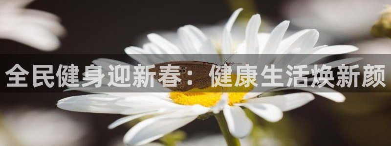 尊龙凯时的钱能退回来吗：全民健身迎新春：健康生活焕新颜