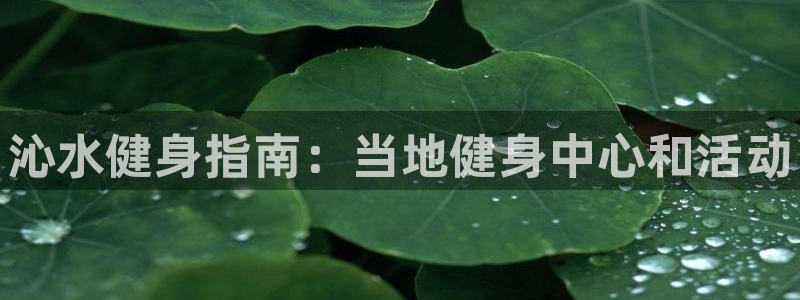 尊龙官网/首选kpm：沁水健身指南：当地健身中心和活动