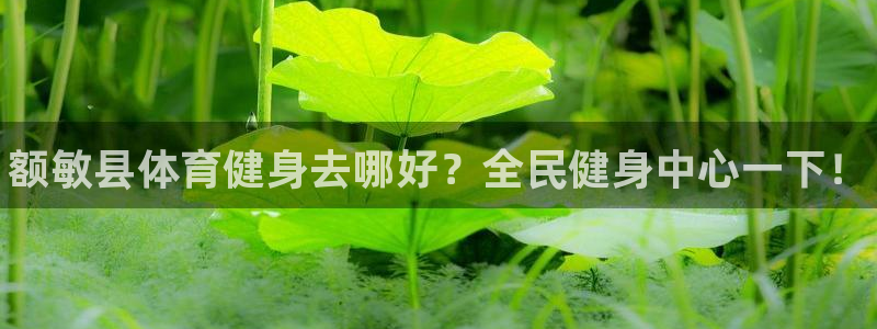 尊龙品牌怎么样：额敏县体育健身去哪好？全民健身中心一下！