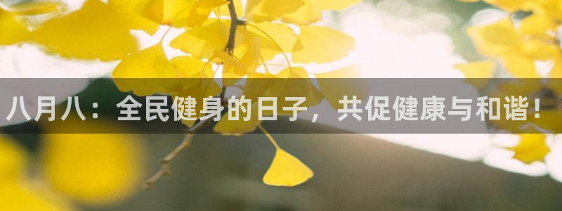 凯时平台怎么样