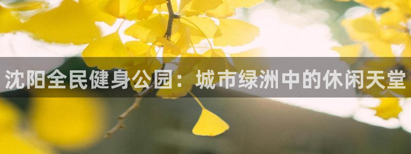 尊龙一生也走不出自己的童年：沈阳全民健身公园：城市绿洲中