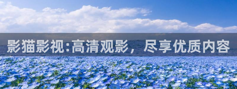 4k影视在线：影猫影视:高清观影，尽享优质内容