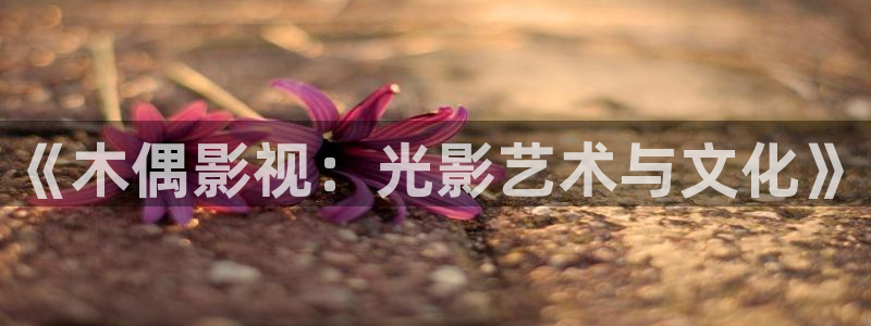 4k影院免费播放