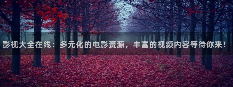 4k影院入口：影视大全在线：多元化的电影资源，丰富的视频内容等待你来！