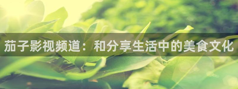4k影院max电视版