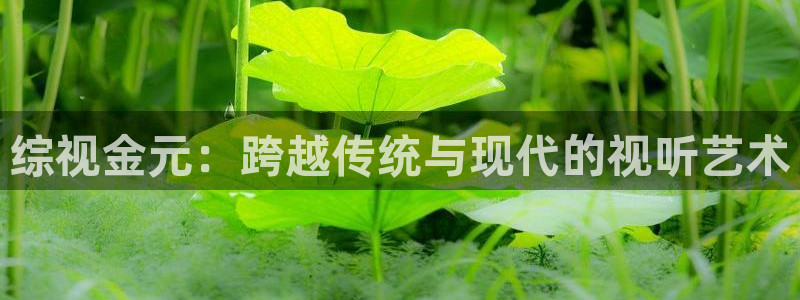 4k影院免费观看