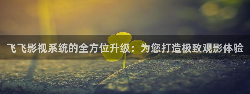 4k影院在线免费播放
