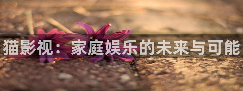 bt4k影院怎么用