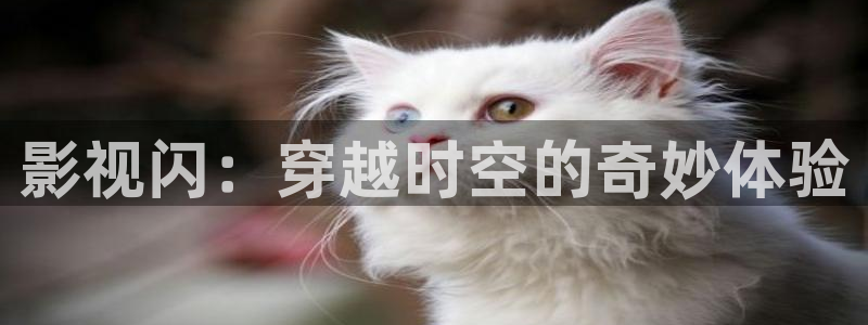 4k影视在线影院