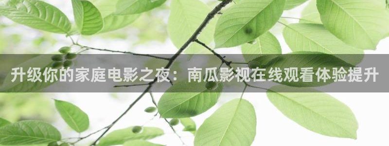 4k影视下载