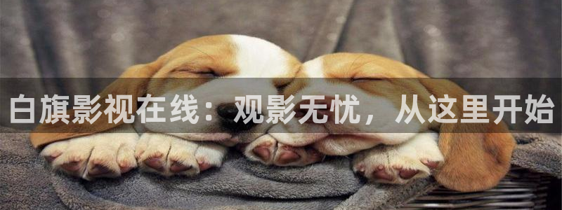 4k影院账号密码是什么